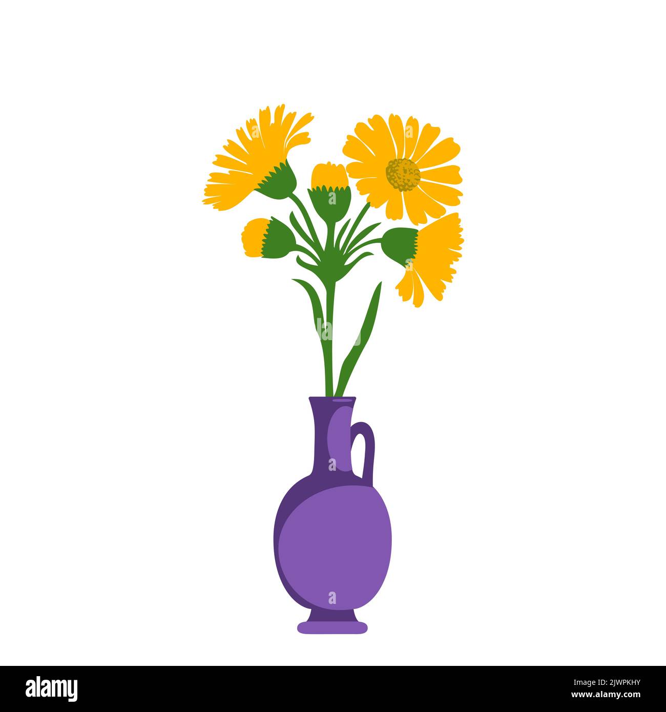 Dandelions plant in pot isolated on white background. Floral botanical daisy bouquet yellow flowers and green leaves vector illustration. Graphic desi Stock Vector