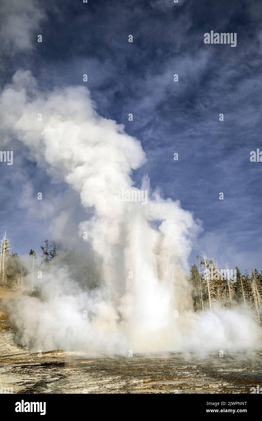 WY05036-00....WYOMING - Grand Geyser in the Upper Geyser Basin of the Old Faithful area, Yellowstone National Park. Stock Photo