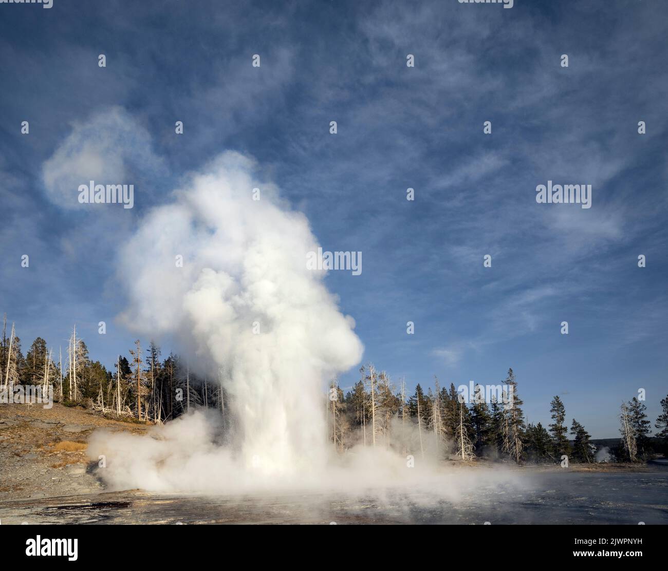 WY05039-00....WYOMING - Grand Geyser in the Upper Geyser Basin of the Old Faithful area, Yellowstone National Park. Stock Photo