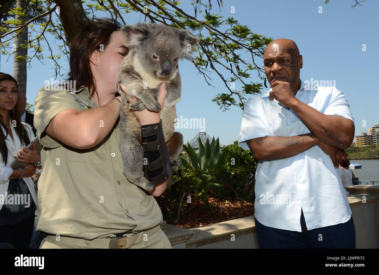 former-world-heavyweight-boxing-champion-mike-tyson-refuses-to-touch-a-koala-during-a-media-call-in-brisbane-thursday-nov-15-2012-tyson-is-in-australia-for-a-motivational-speaking-tour-aap-imagedan-peled-2JWPR73.jpg