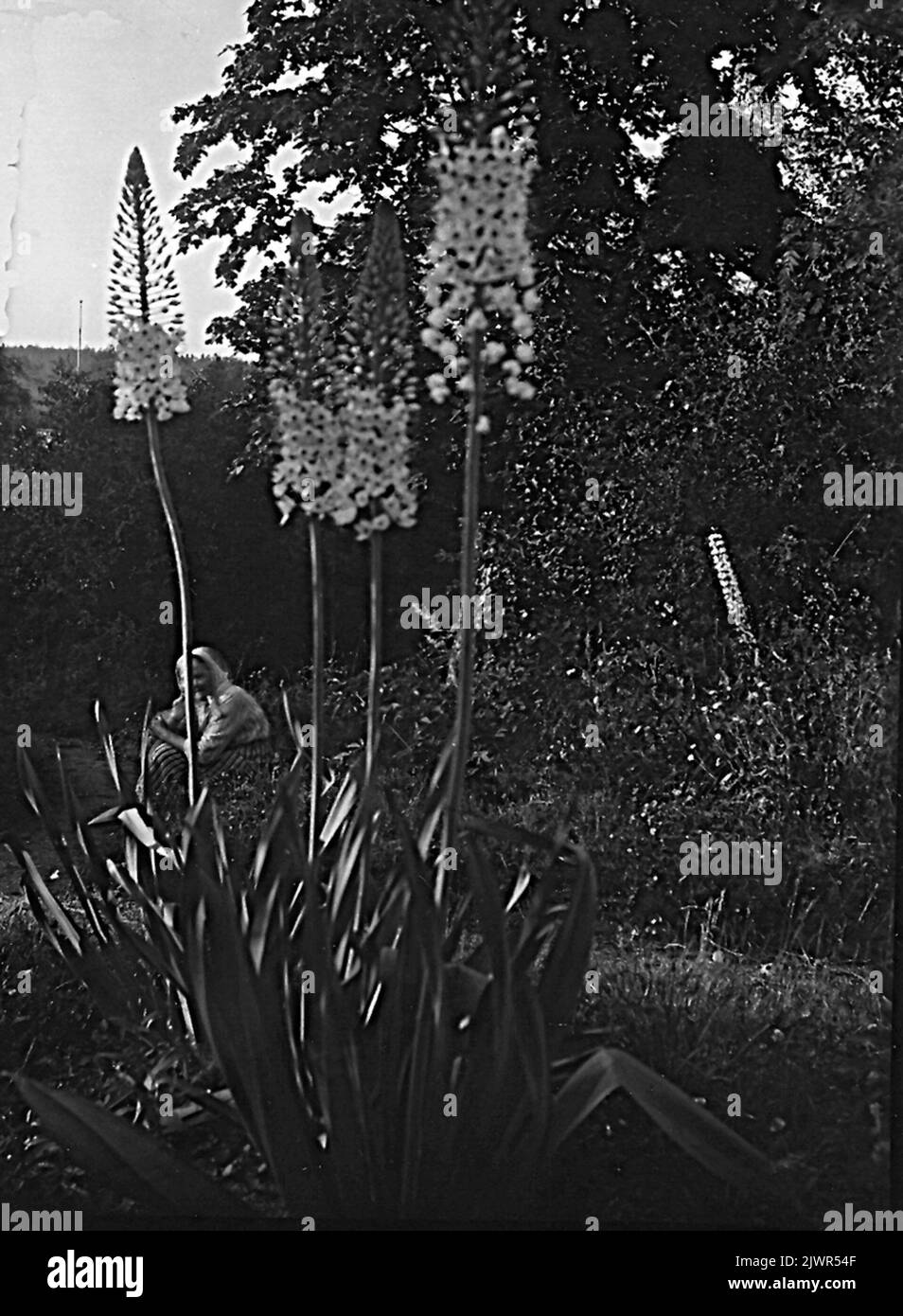 Maria Fredrika Spets, born Hansson, June 19, 1863 in Vika, Dalarna