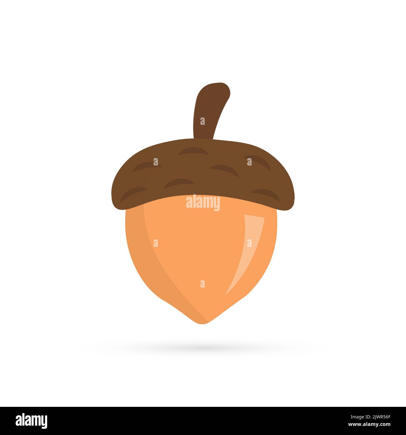Acorn icon. Autumn concept. vector illustration isolated on white ...