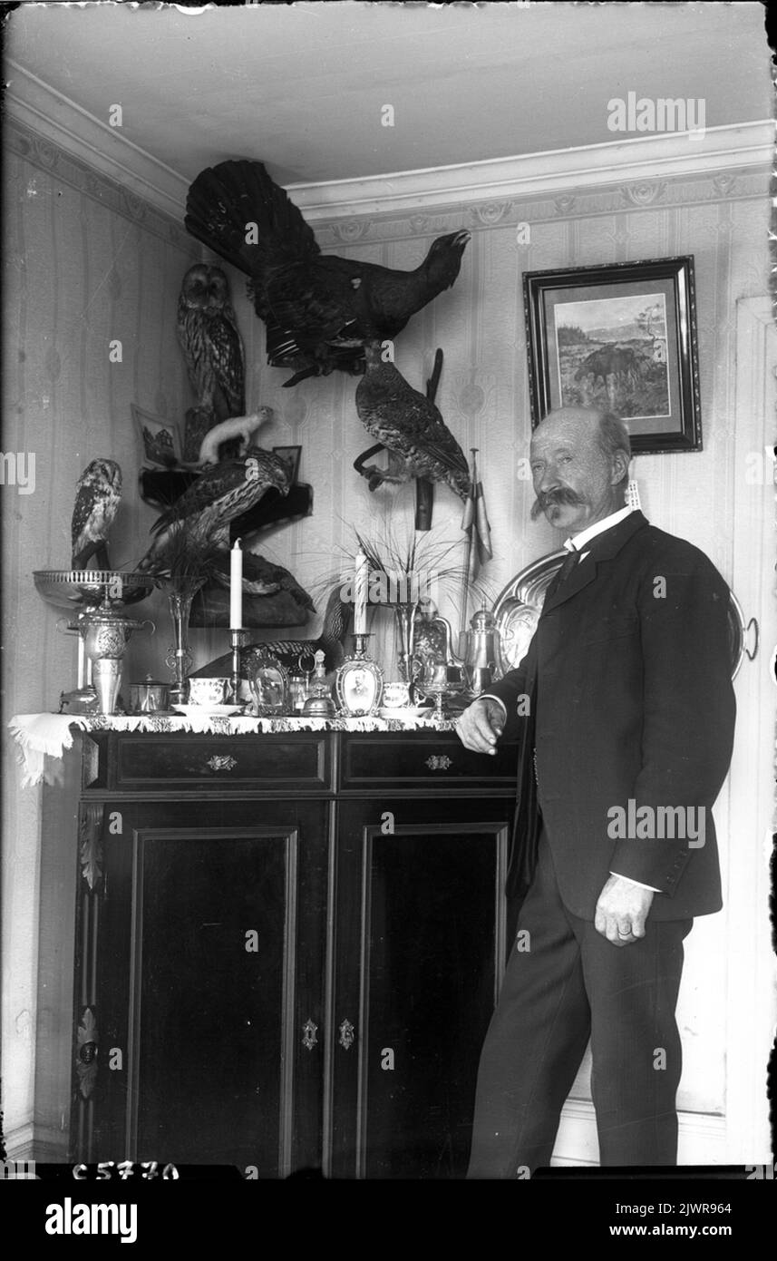 Grandfather in Källsjön with stuffed birds. Photo in 1921. Farfar i Källsjön med uppstoppade fåglar. Foto år 1921. Stock Photo