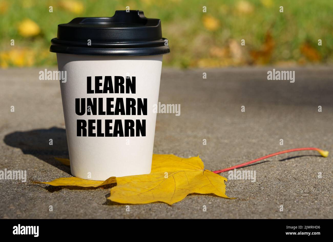 Learn unlearn relearn hi-res stock photography and images - Alamy