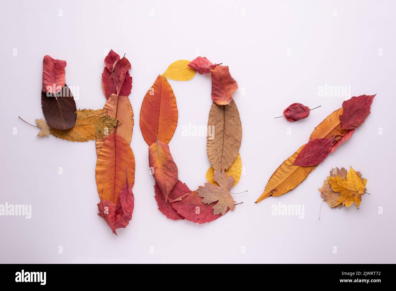 forty percent from autumn leaves on white background. Stock Photo