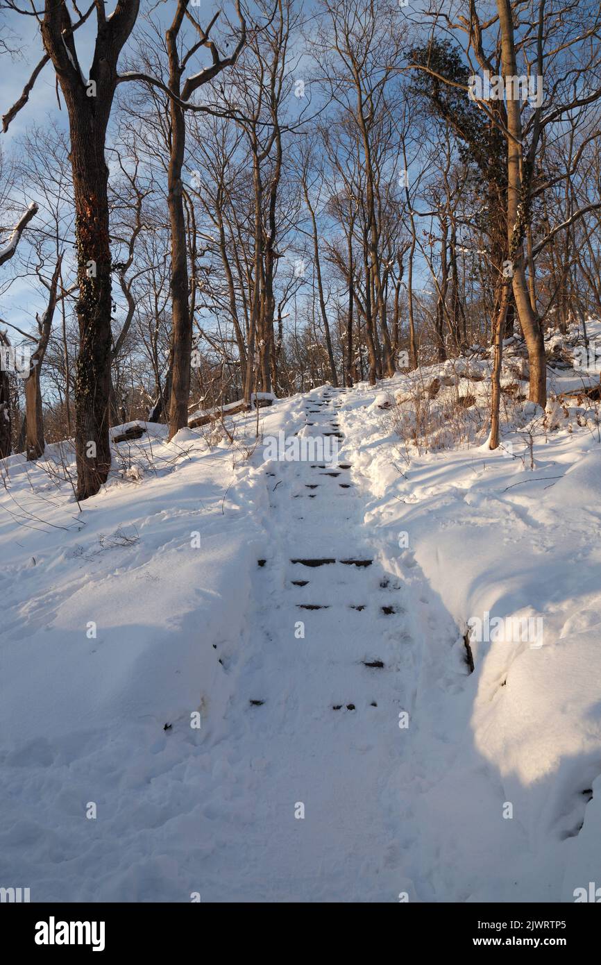stairs to hill Klausberge in Halle Saale in winter; Germany Stock Photo