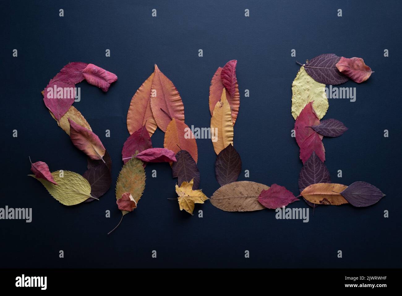 word sale made from autumn leaves on black background. Stock Photo