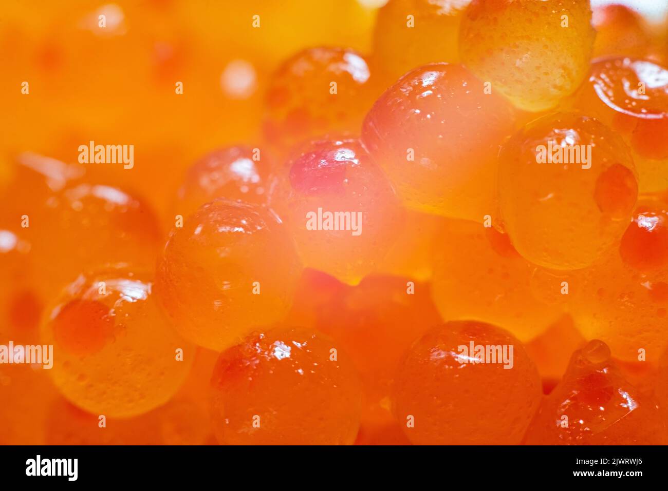 Fresh red caviar on whole background, close up. Stock Photo
