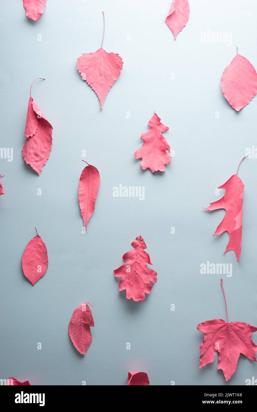 autumn leaves blue pink creative pattern paint Stock Photo