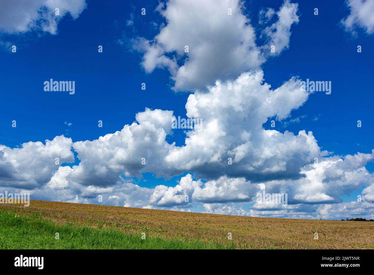 Farmland. Field under blue sky with white clouds. Agriculture scene ...