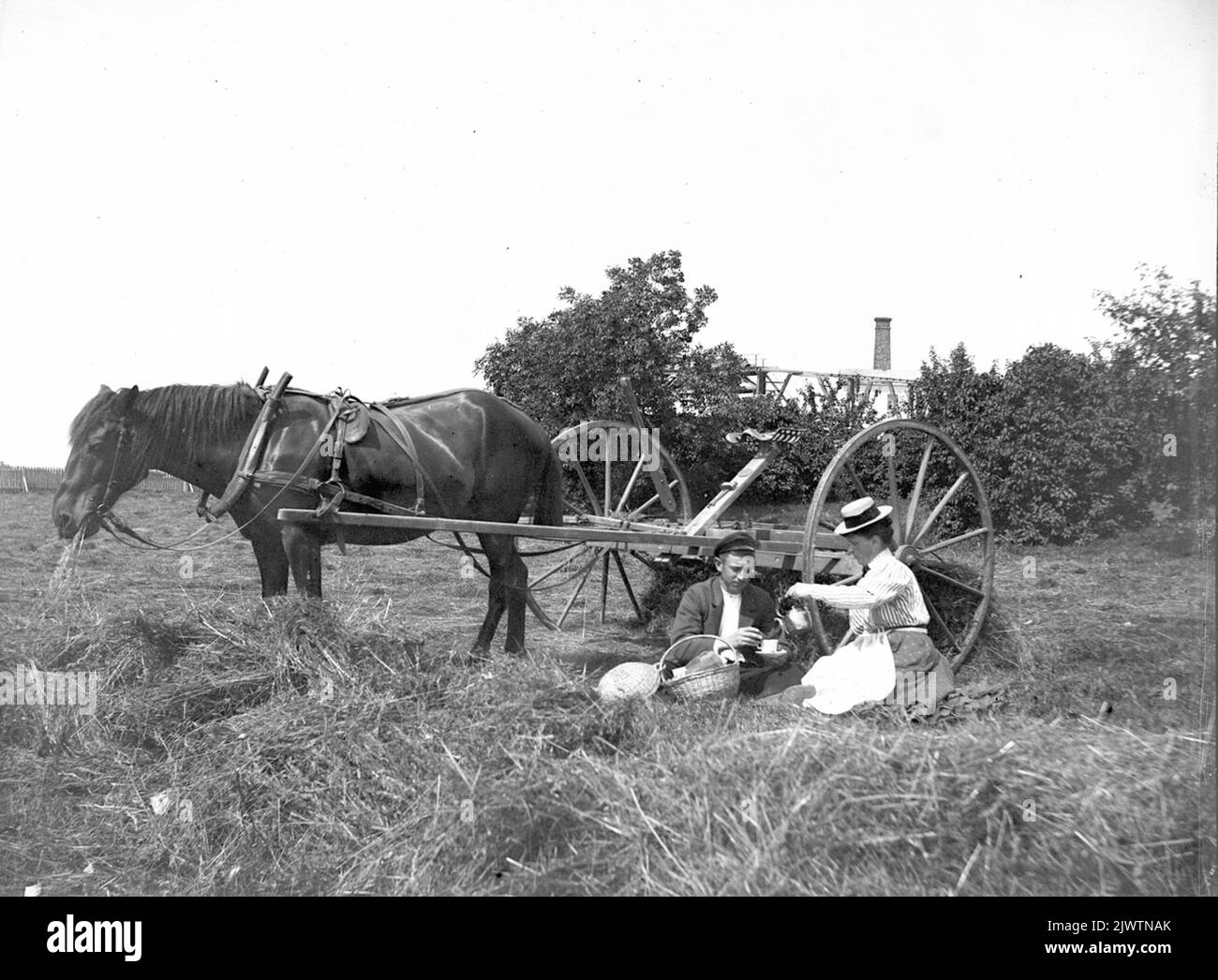 Green agriculture farming Black and White Stock Photos & Images - Alamy