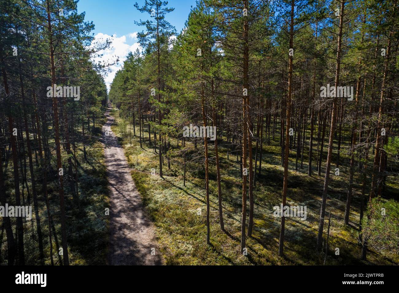 High view of a dirtroad in the middle of the woods. High angle drone shot. Stock Photo