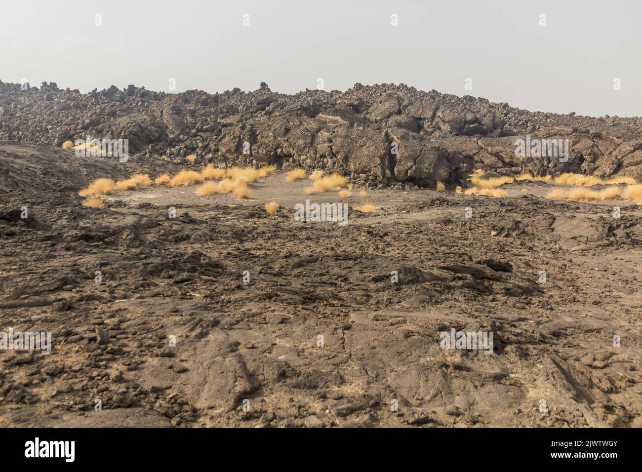 Lava field at Erta Ale volcano in Afar depression, Ethiopia Stock Photo