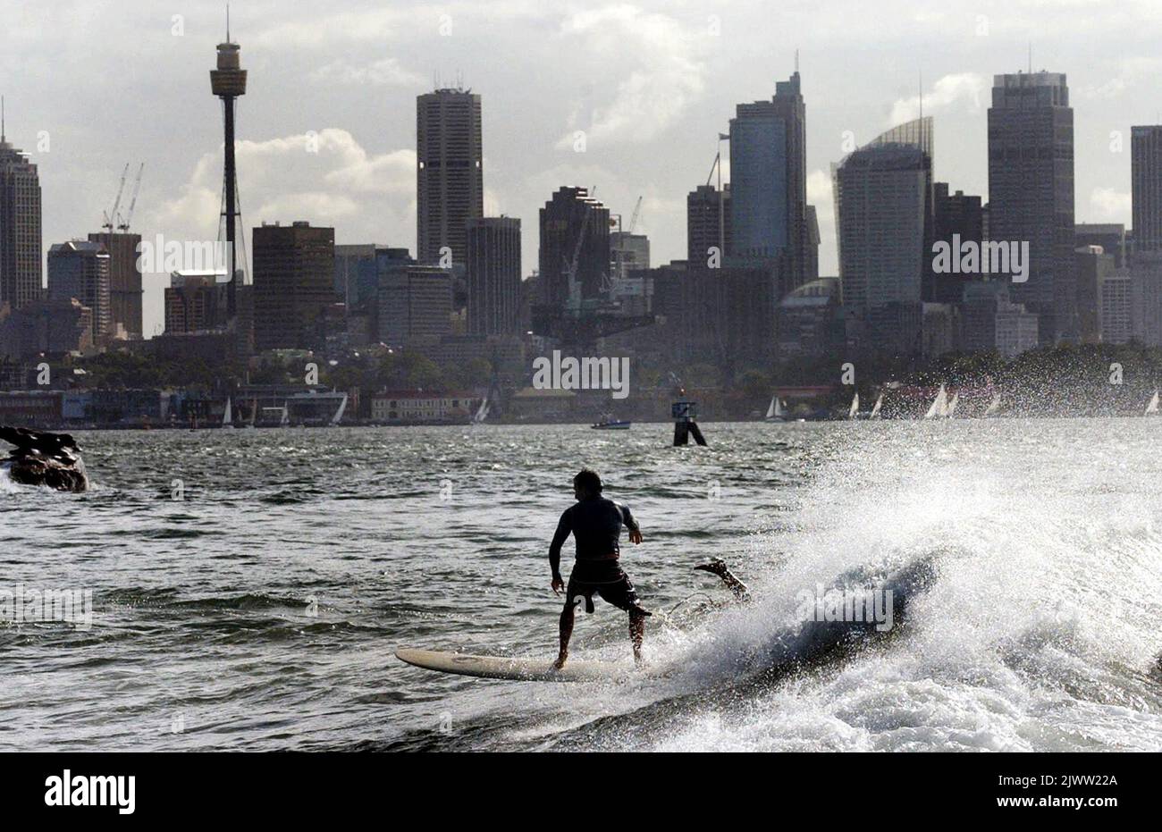 Surfers catch some waves at the normally placid Neilsen Park in Sydney ...