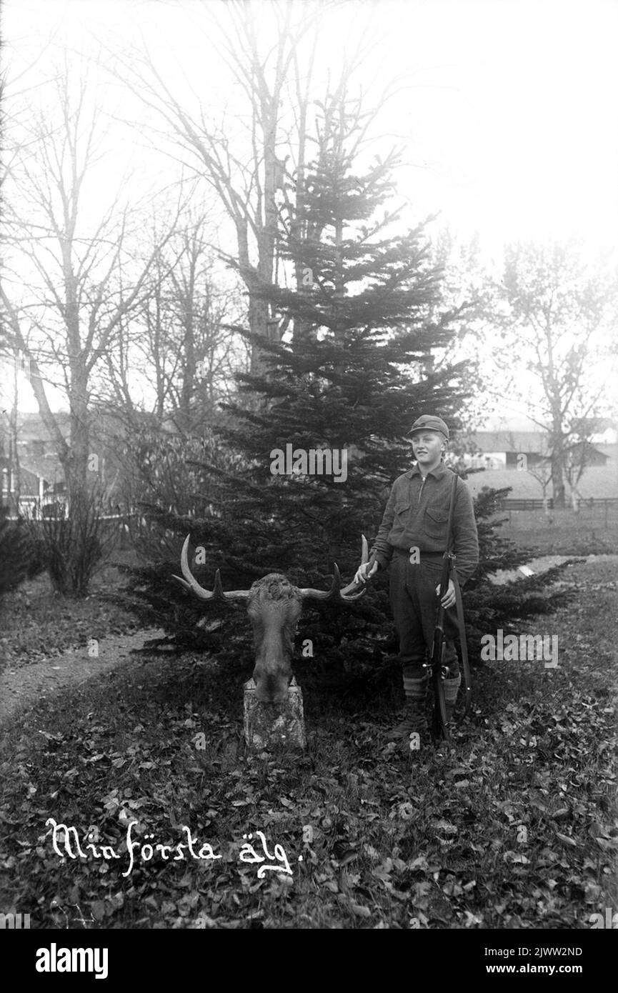 First Moose Moose photo Black and White Stock Photos & Images - Alamy