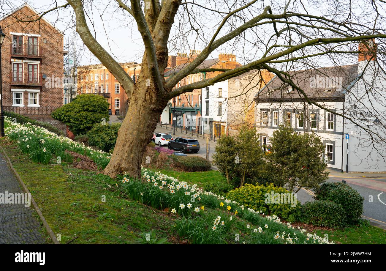 The Fat Boar Pub, Wrexham, North Wales, seen here from the grounds of  St Giles Church, in March 2022. Stock Photo