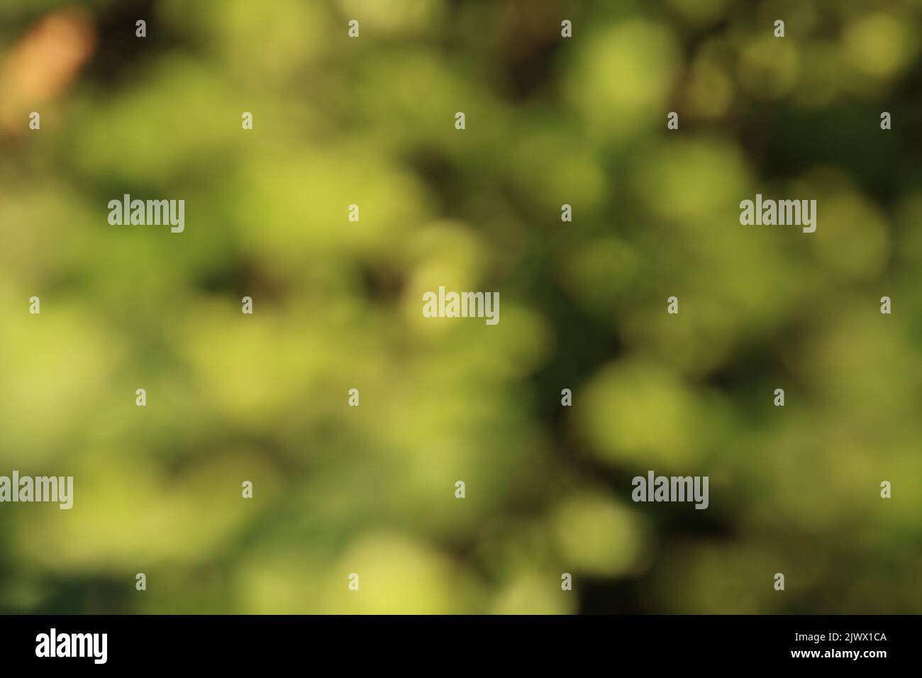 Blurred soft mottled green header panel with space for copy Stock Photo