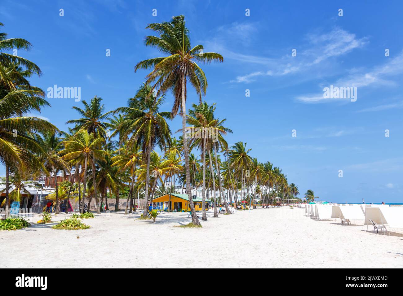 Playa Spratt Bight beach travel with palms palm vacation sea on island San Andres in Colombia Stock Photo