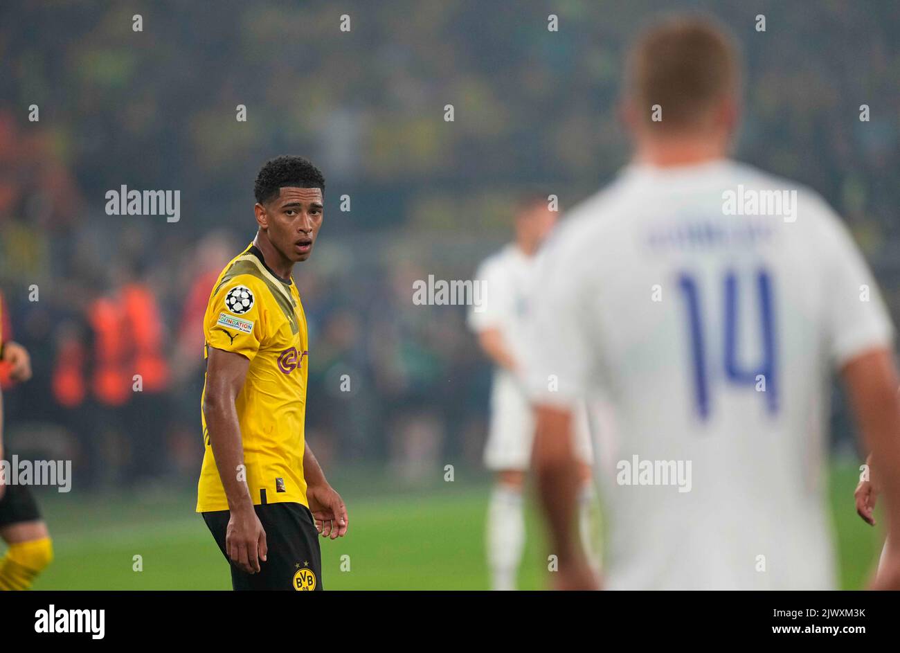 September 6, 2022: Jude Bellingham (Borussia Dortmund) looks on during