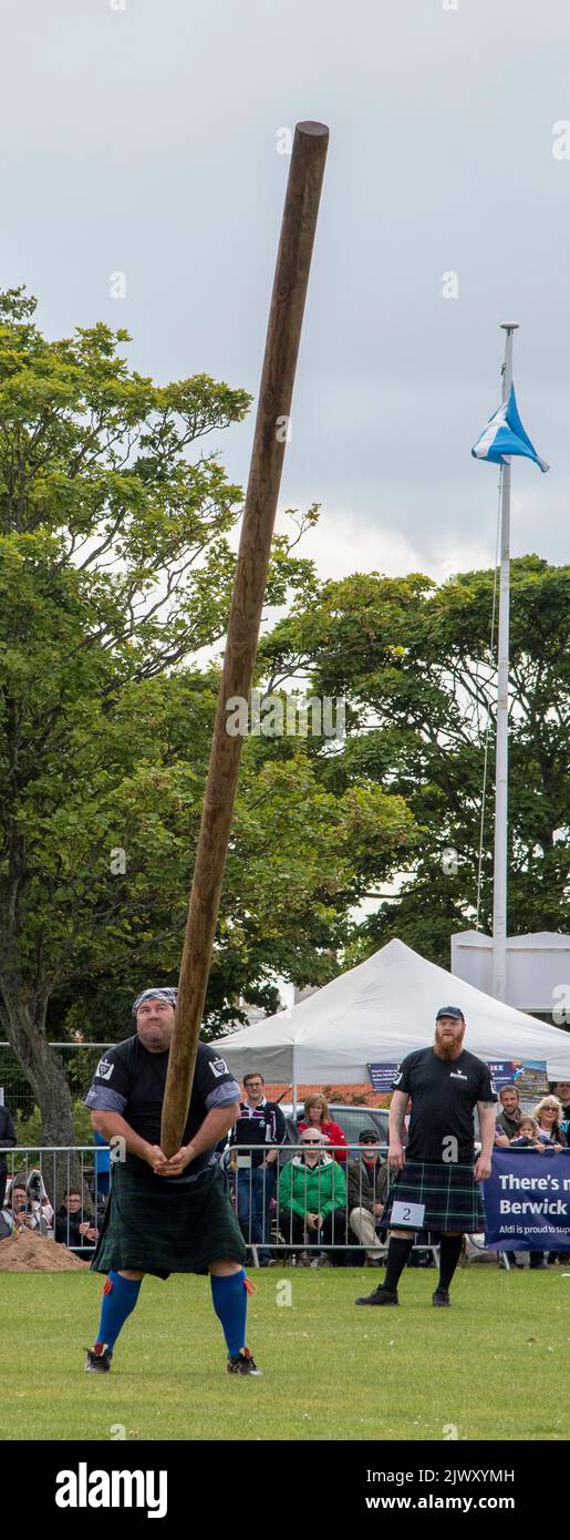 Tossing the Caber, Highland Games, North Berwick Stock Photo