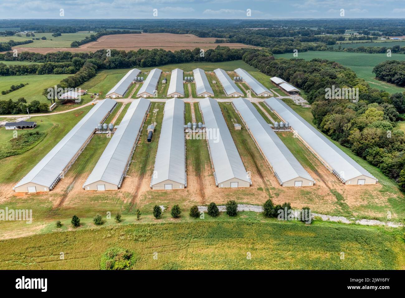 Aerial view of Poultry houses and farm in Tennessee Stock Photo Alamy