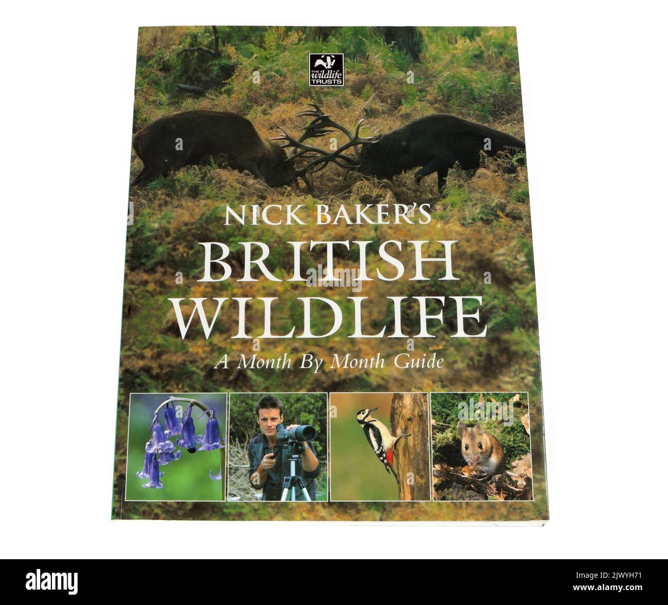 British wildlife book Cut Out Stock Images & Pictures Alamy
