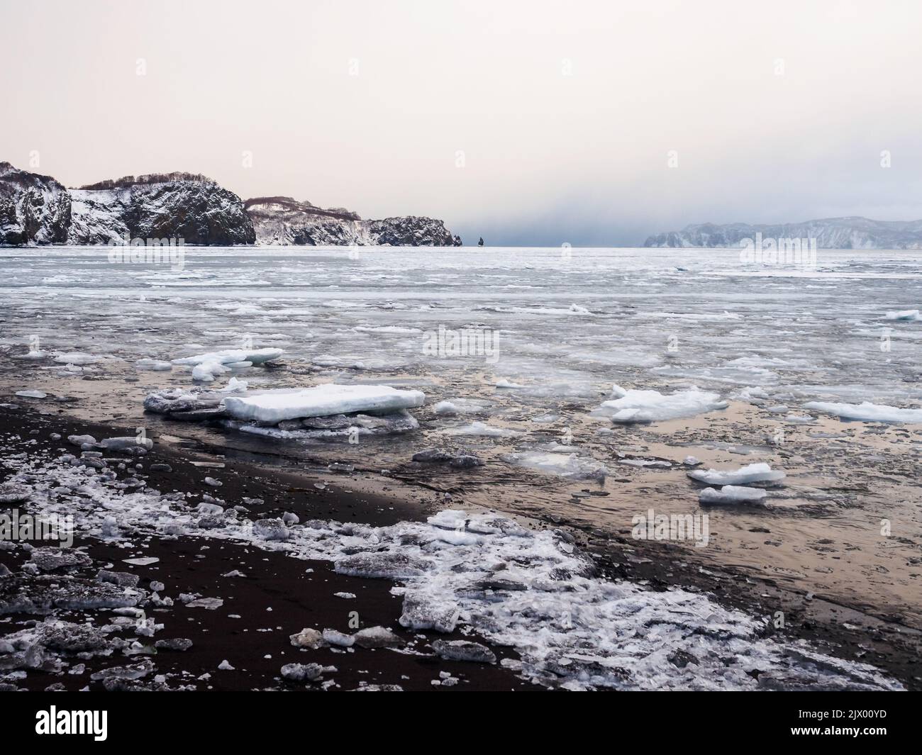 Ice floating in a sea water near a beach Stock Photo - Alamy