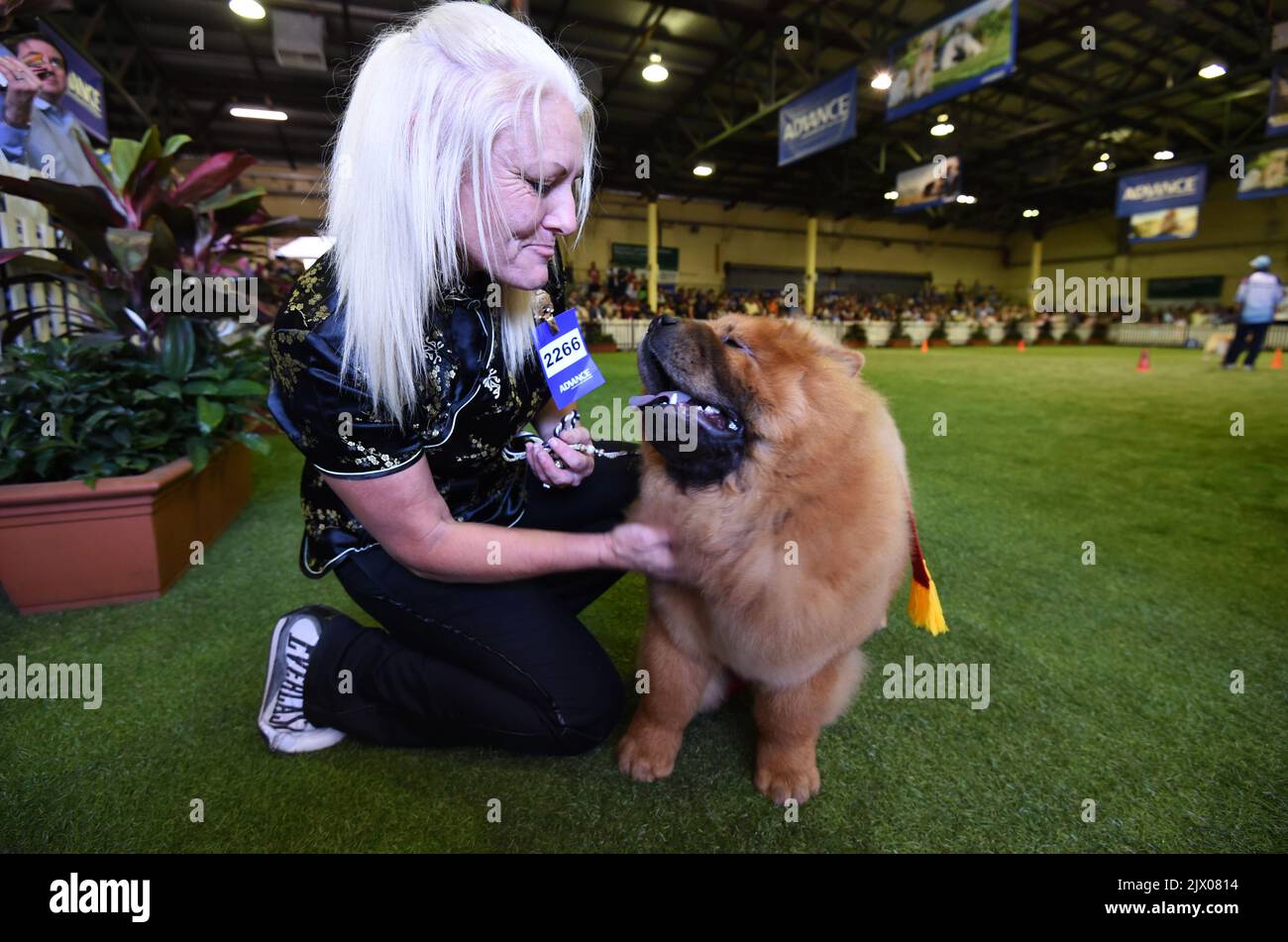 Malaboo fashion chow chow