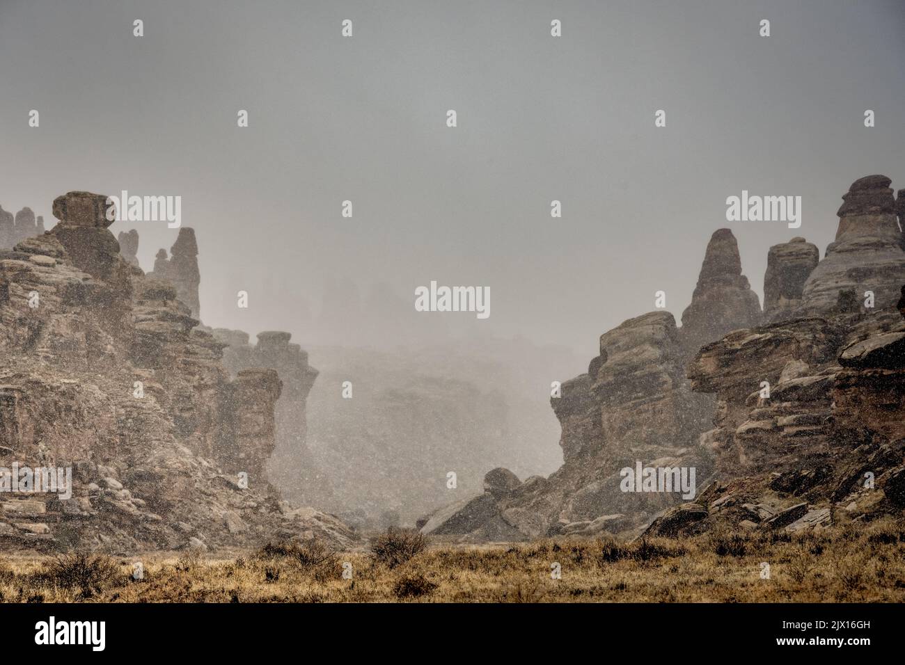 Thick Fog and Snow between Hoodoo Formations in the Needles District