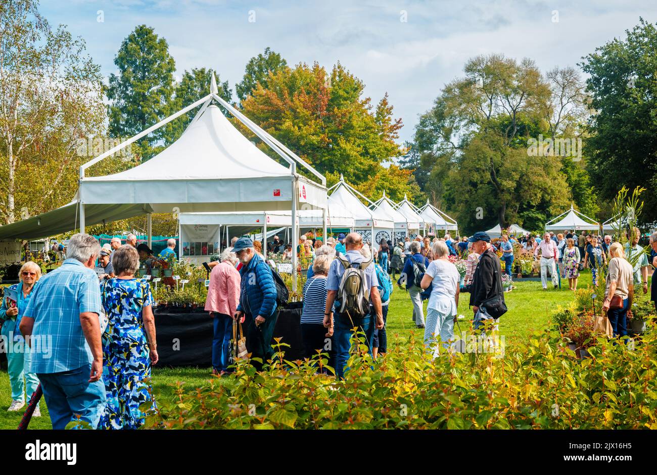 Stalls at the annual Wisley Taste of Autumn Festival in September at RHS Wisley, Surrey, south-east England Stock Photo
