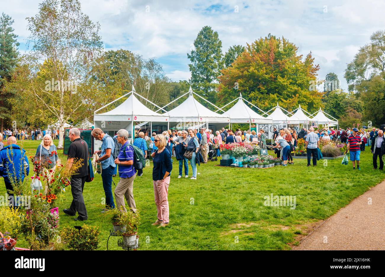 Stalls at the annual Wisley Taste of Autumn Festival in September at RHS Wisley, Surrey, south-east England Stock Photo