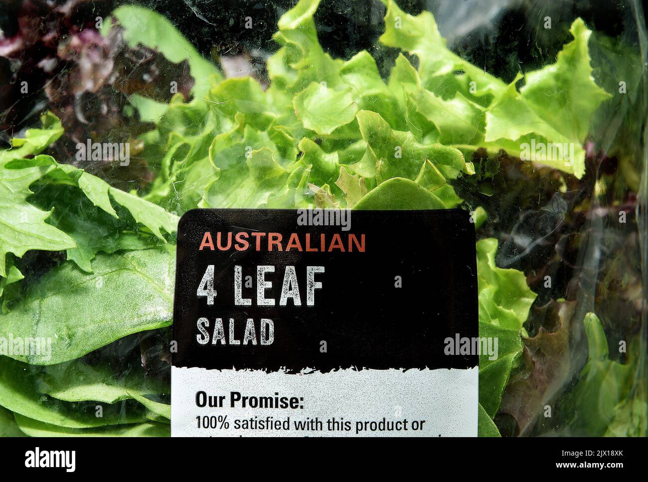 Bags of prepacked Four Leaf lettuce are seen on sale at a Coles store