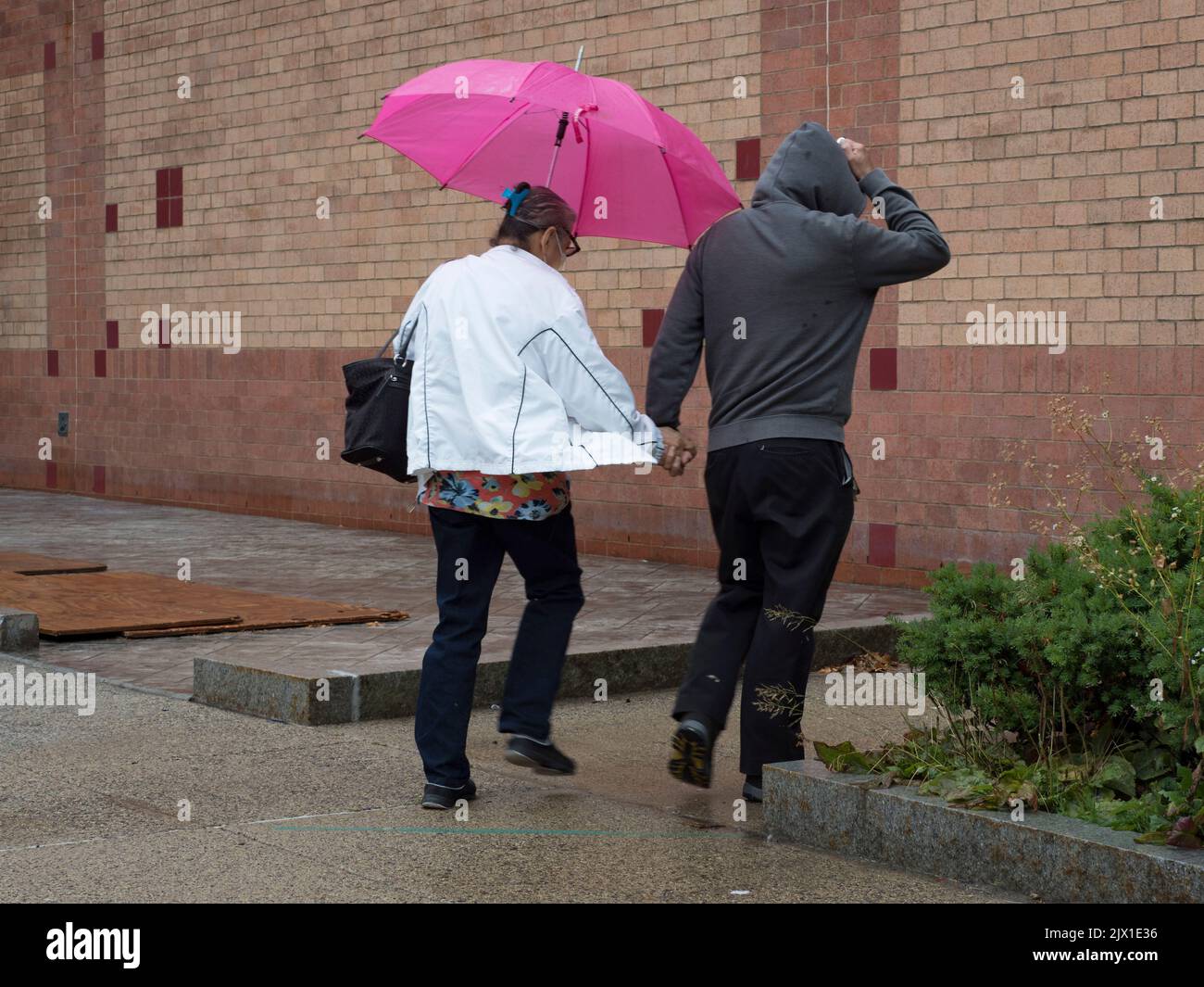 Chelsea, Massachusetts, USA. 6th Sep, 2022. Despite the rain, voters