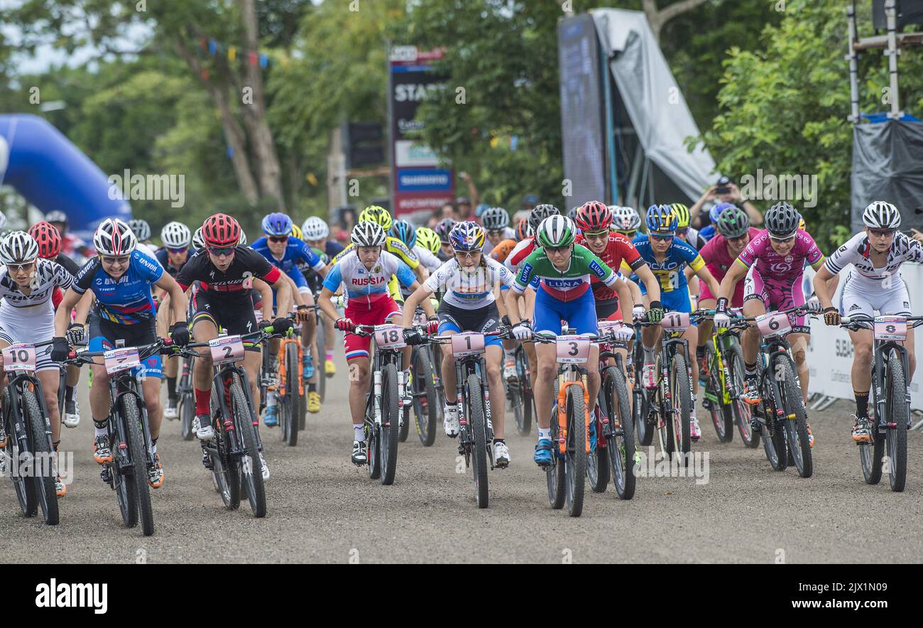womens cross country bike