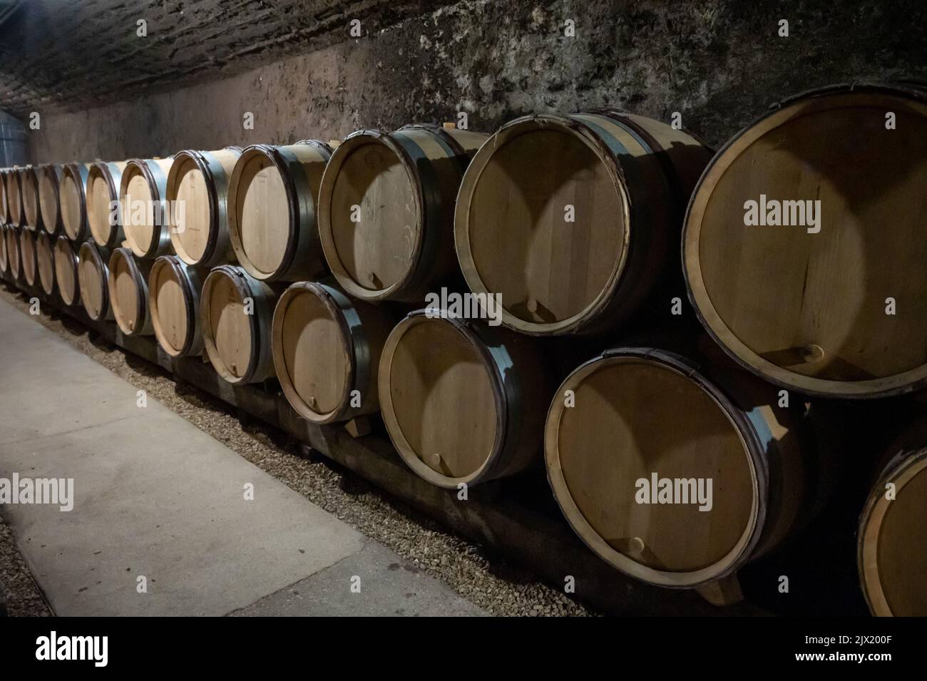 Stages of wine production from fermentation to bottling, visit to wine ...
