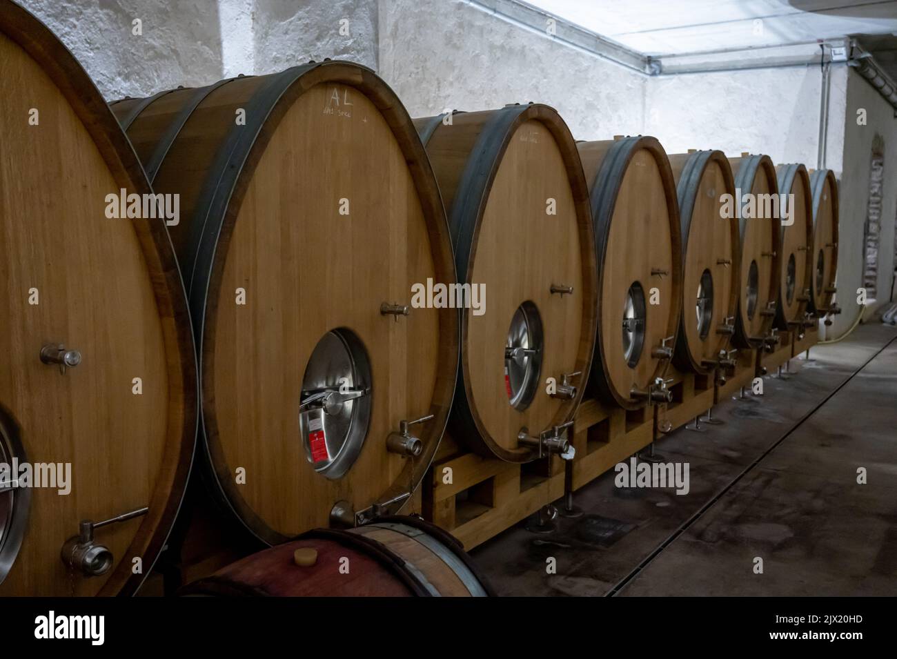 Stages of wine production from fermentation to bottling, visit to wine