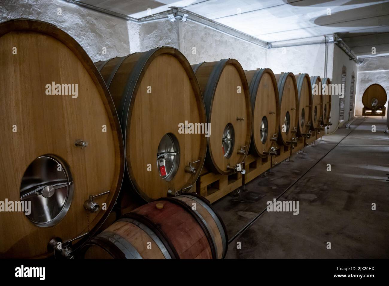Stages of wine production from fermentation to bottling, visit to wine