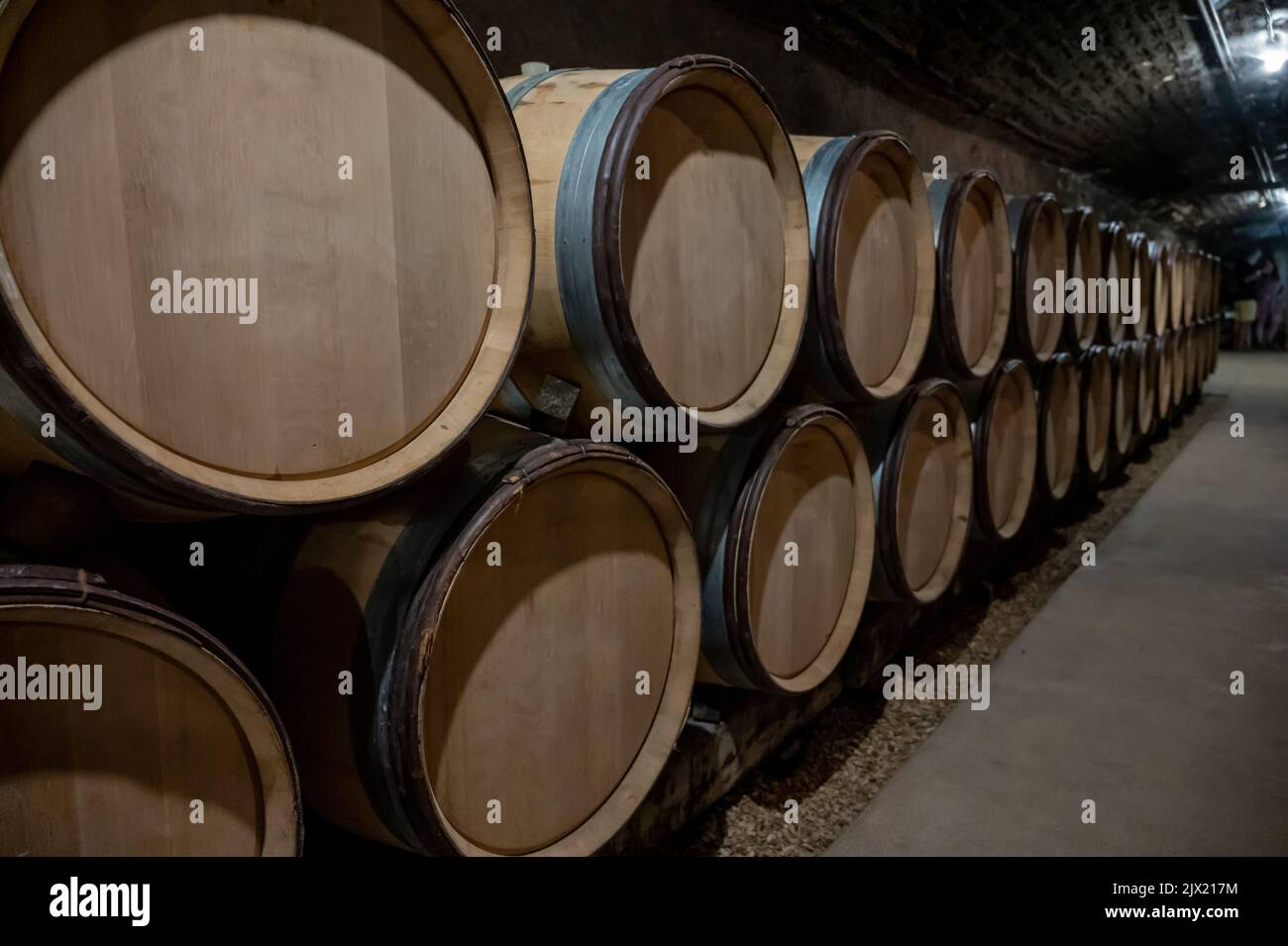 Stages of wine production from fermentation to bottling, visit to wine ...