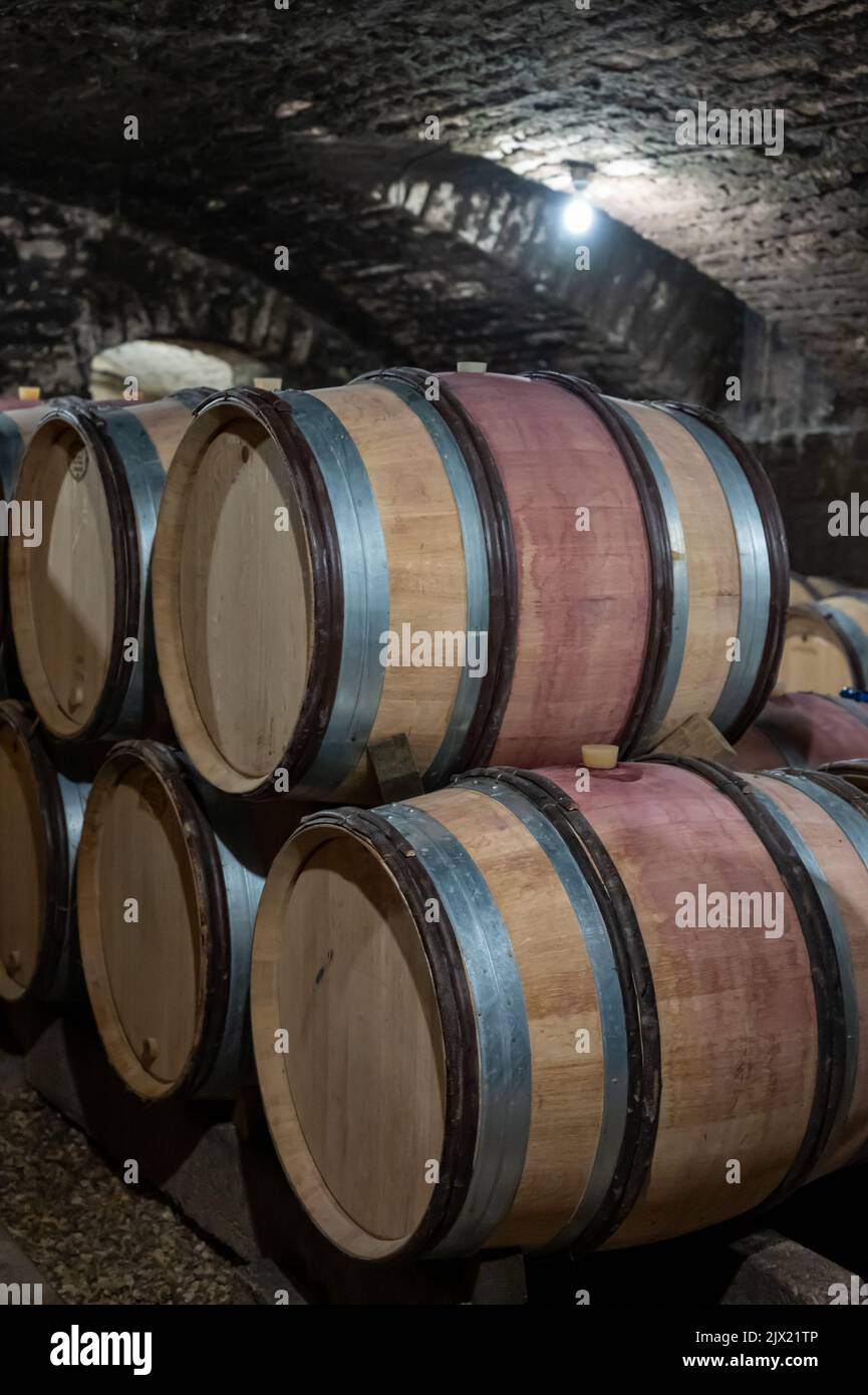 Stages of wine production from fermentation to bottling, visit to wine