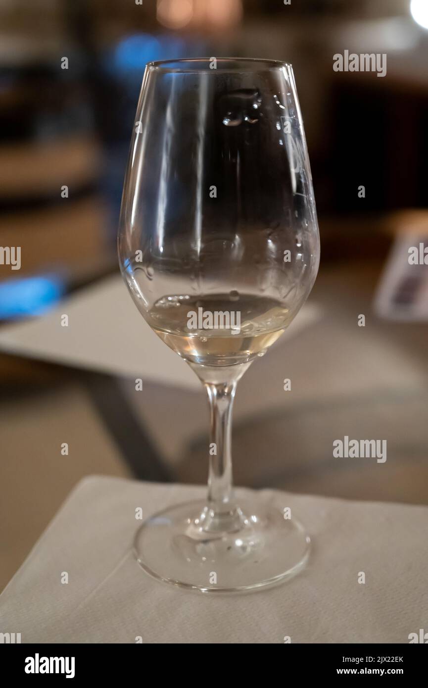 White wine tasting in underground cellars caves of French wine domain