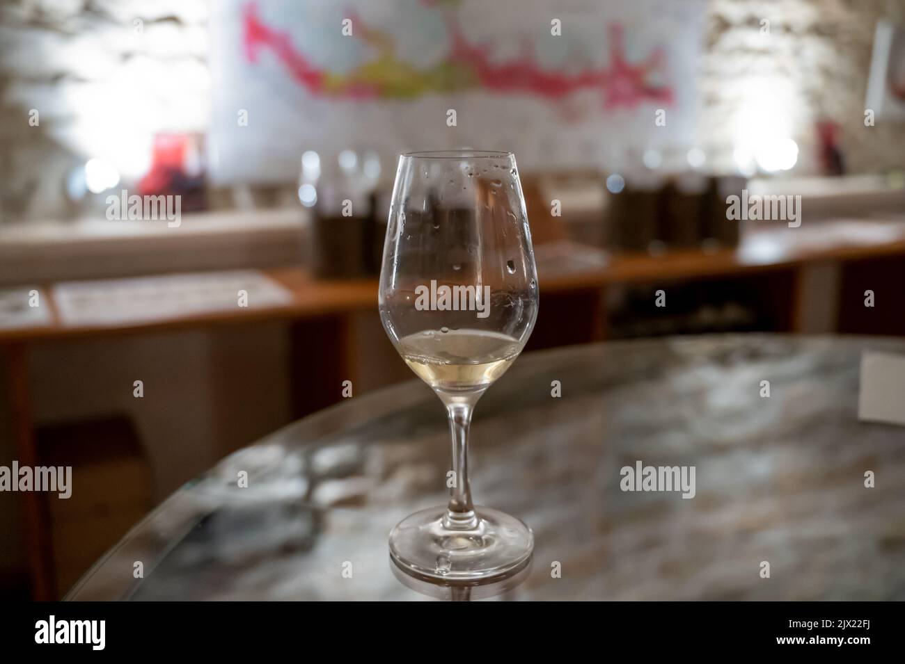 Wine tasting in underground cellars caves of French wine domain in