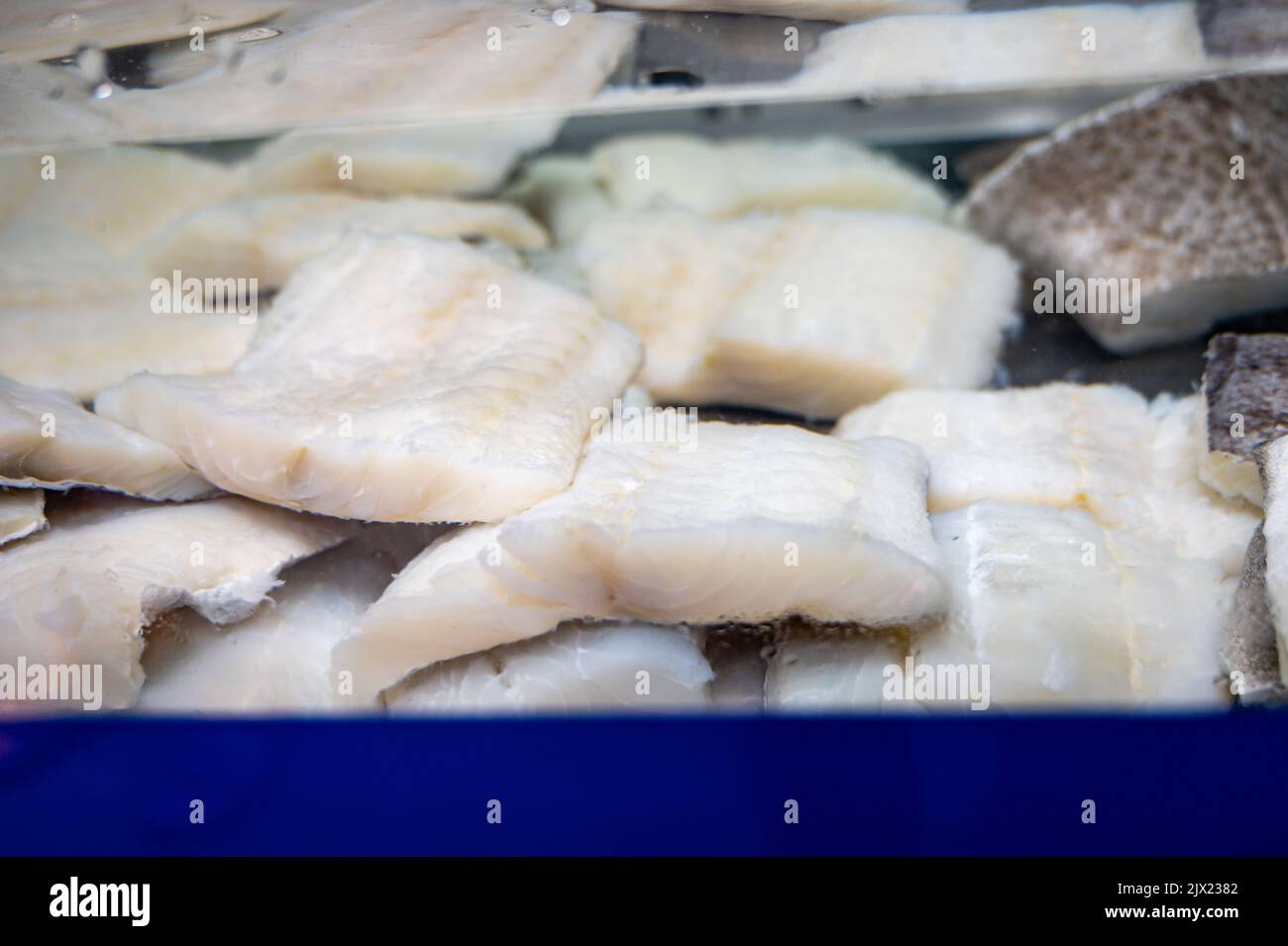 White salted and dried bacalao codfish in watertank, traditional