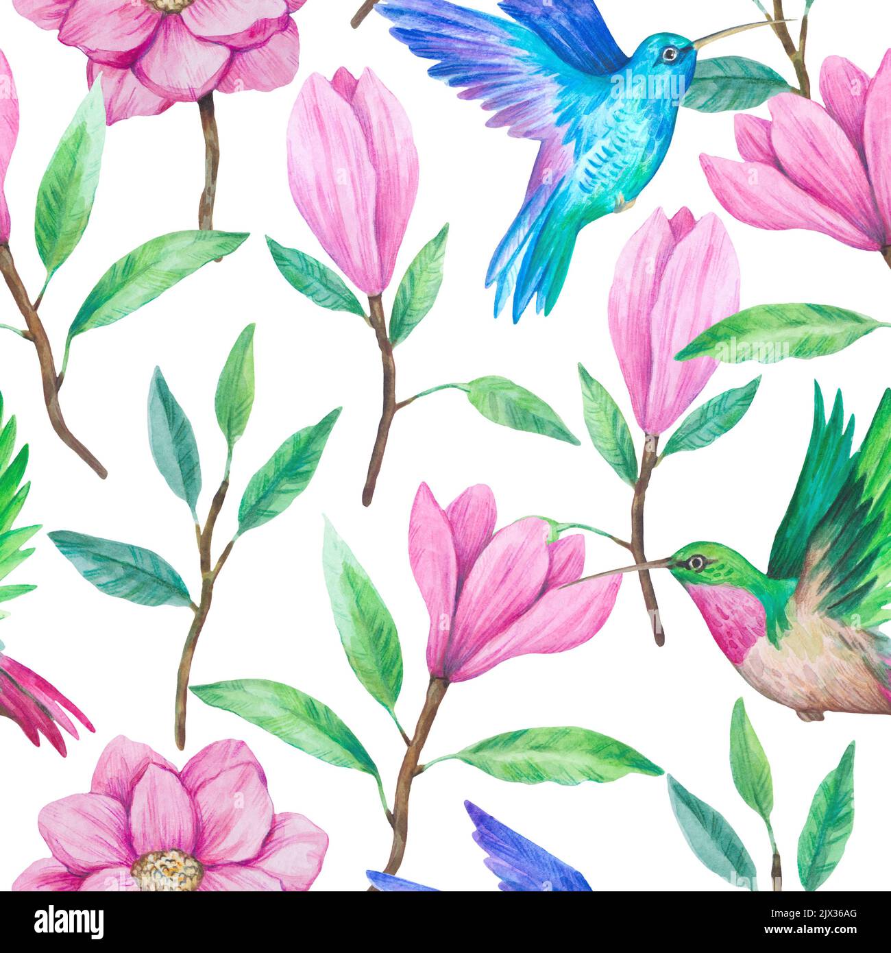 Hummingbirds and magnolia flowers. Watercolor illustration. Seamless ...