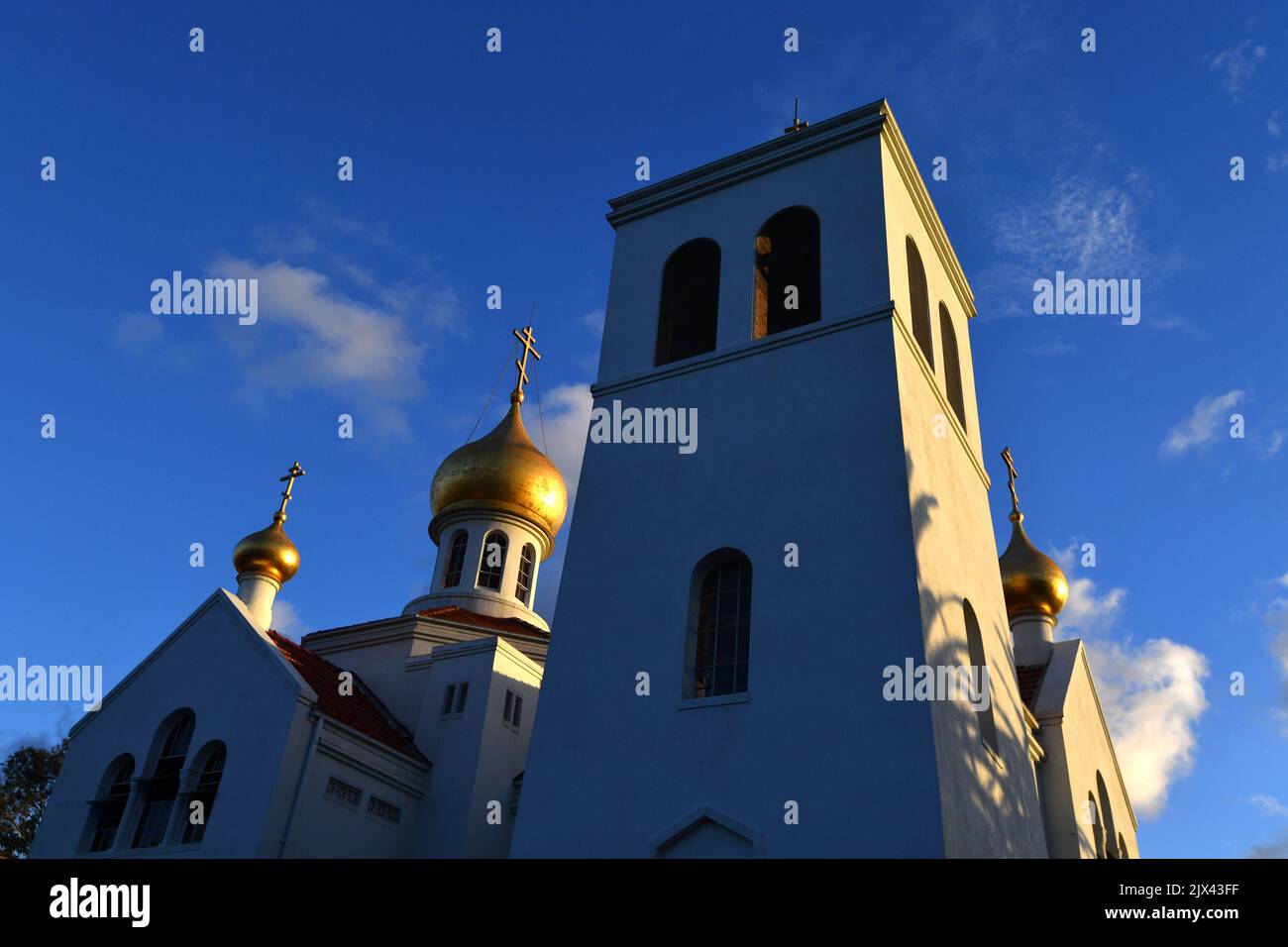 christmas-eve-service-at-the-protection-of-the-holy-virgin-russian