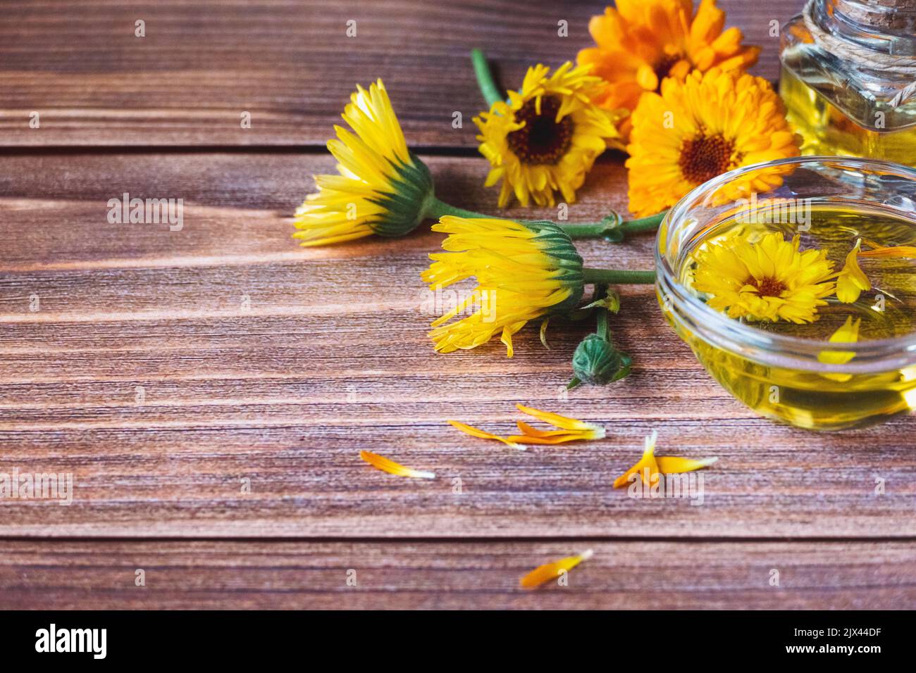 Calendula herbal infused oil made of Calendula officinalis flowers on wooden background, copy space Stock Photo
