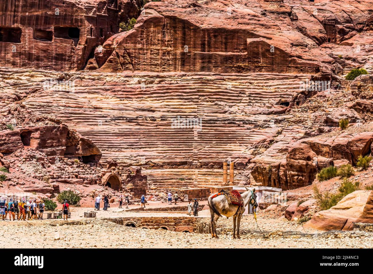 Donkey Tourists Red Carved Amphitheater Morrning Petra Jordan Built by Nabataens in 100 AD Finished by Romans Seats up to 7,000 people. Stock Photo