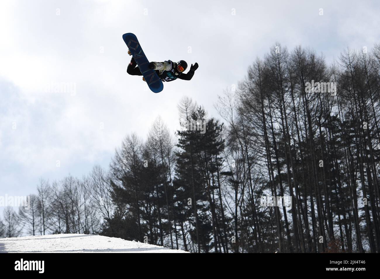 Andre Hoeflich of Germany in action during the men's qualifying round of  the FIS Freestyle Snowboard World Cup Halfpipe competition at Phoenix Park,  Bokwang, in Pyeongchang, South Korea, Friday, Feb. 17, 2017. (