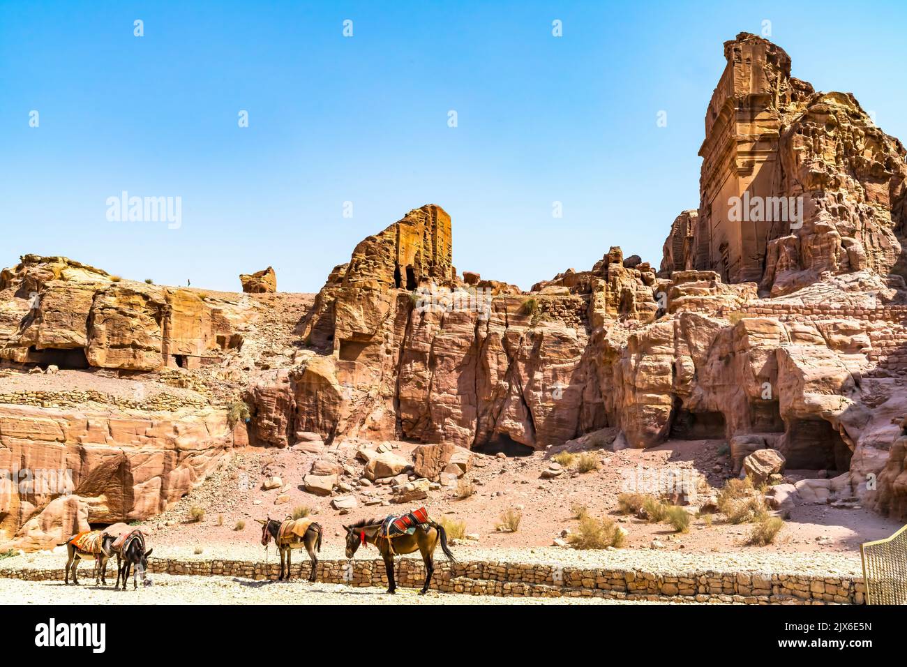 Donkeys Road to Royal Rock Tombs for Kings Petra Jordan Built by Nabataens in 200 BC to 400 AD Stock Photo