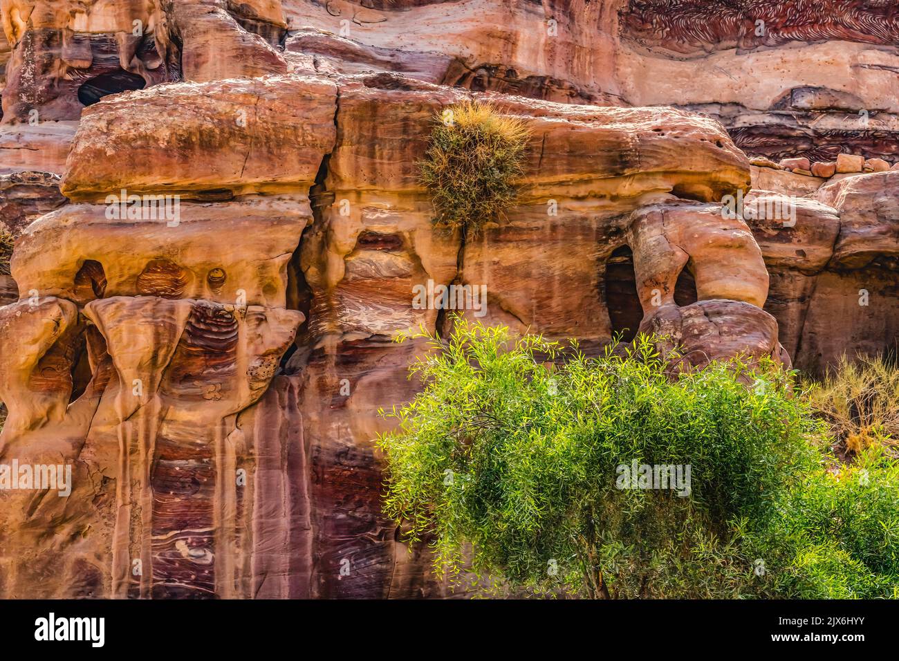 Rose Red Rock Tombs Morning Street of Facades Petra Jordan Built by Nabataens in 200 BC to 400 AD Canyon walls change Rose Red afternoon when sun goes Stock Photo