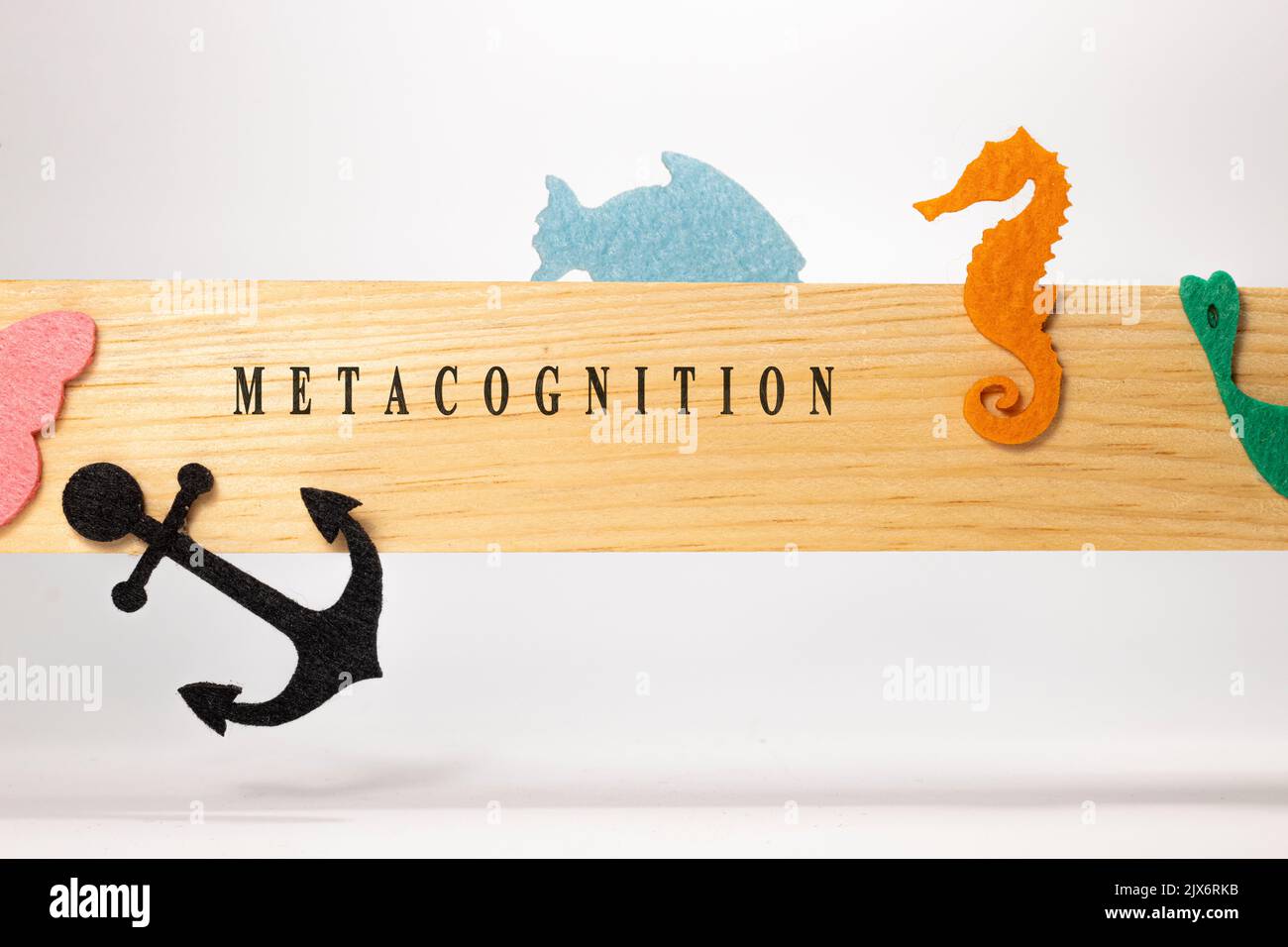 Metacognition hi-res stock photography and images - Alamy